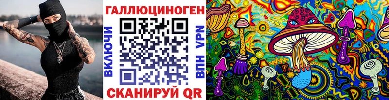 Псилоцибиновые грибы Psilocybine cubensis  Нарткала 